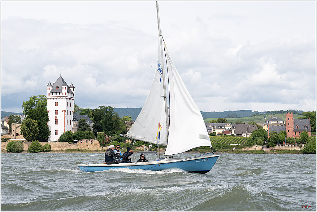 Rheinwoche 2025 1. Regattatag, 08.06.2025