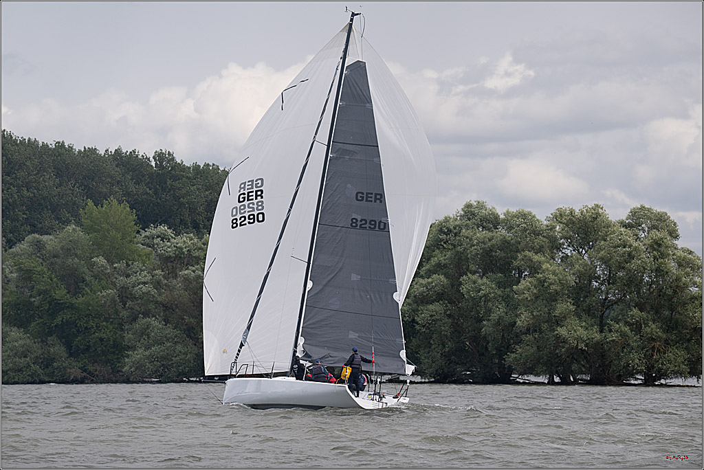Rheinwoche 2025 1. Regattatag, 08.06.2025