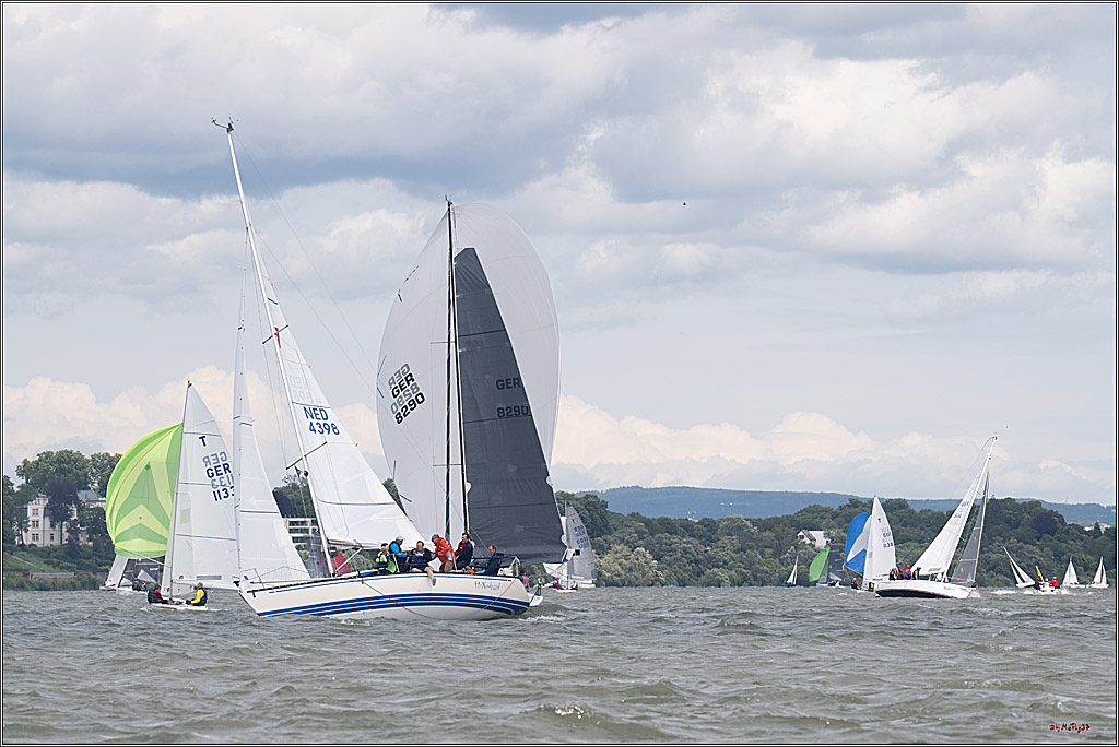 Rheinwoche 2025 1. Regattatag, 08.06.2025