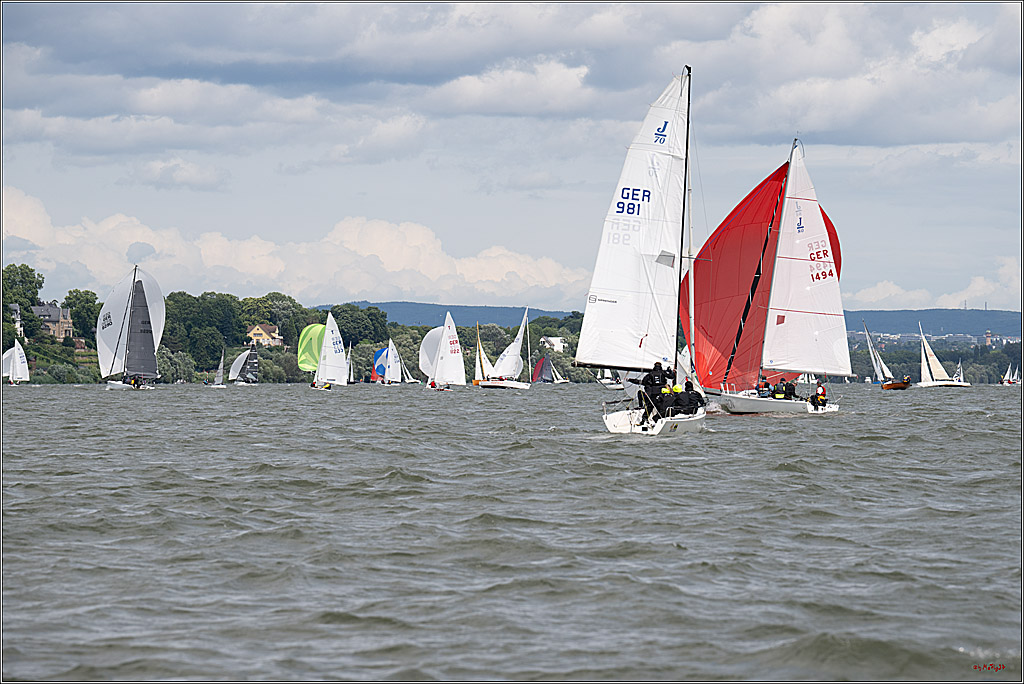 Rheinwoche 2025 1. Regattatag, 08.06.2025