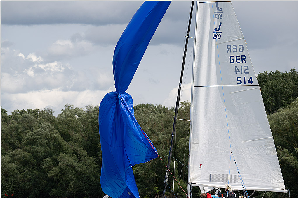 Rheinwoche 2025 1. Regattatag, 08.06.2025