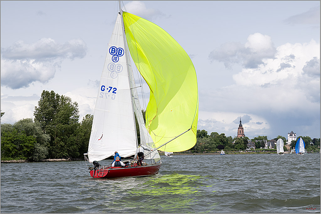 Rheinwoche 2025 1. Regattatag, 08.06.2025