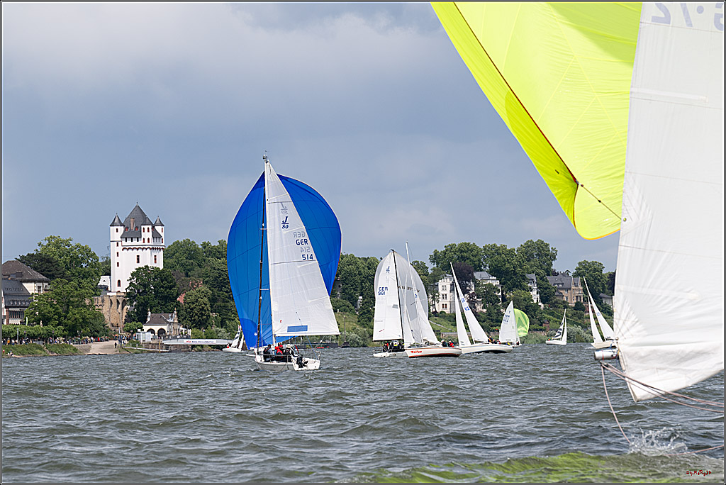 Rheinwoche 2025 1. Regattatag, 08.06.2025