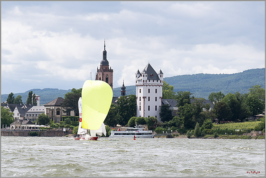 Rheinwoche 2025 1. Regattatag, 08.06.2025