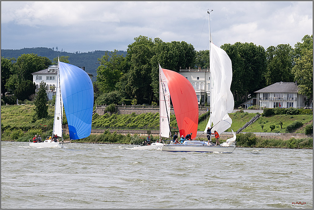 Rheinwoche 2025 1. Regattatag, 08.06.2025