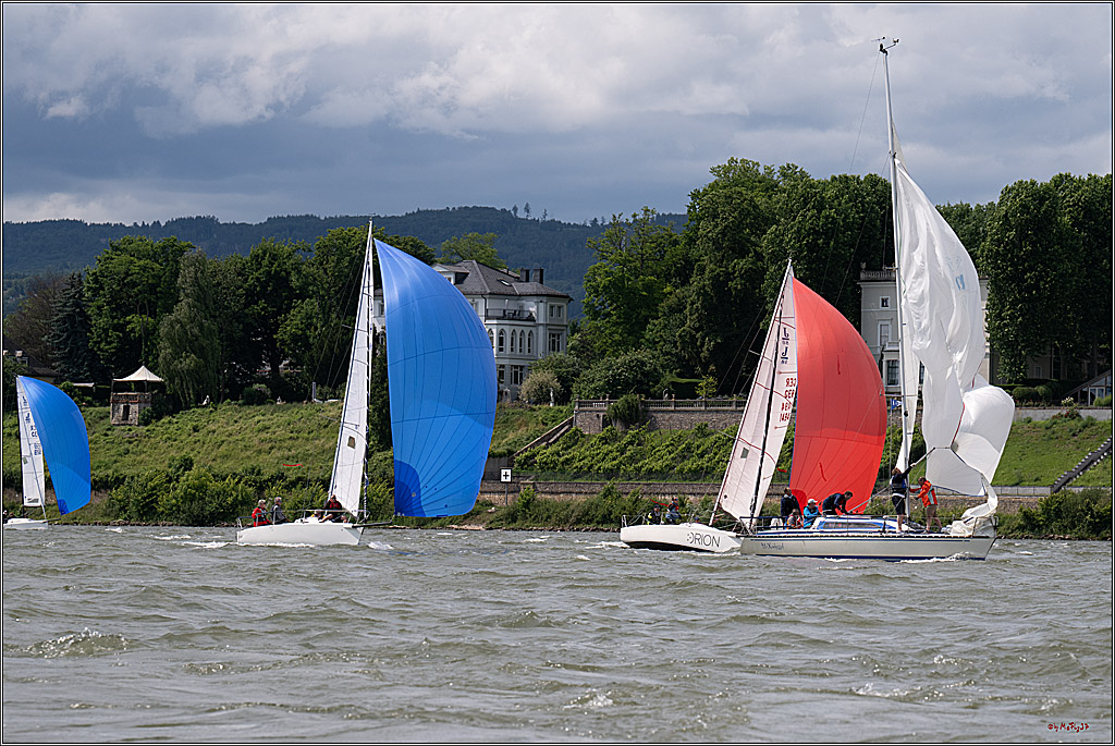 Rheinwoche 2025 1. Regattatag, 08.06.2025