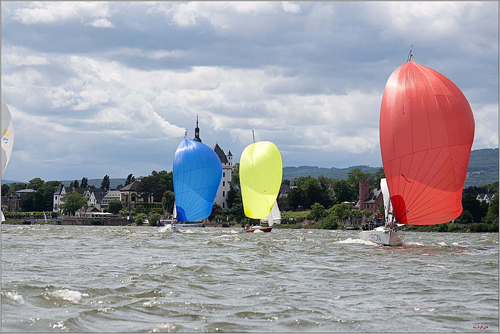 Rheinwoche 2025 1. Regattatag, 08.06.2025