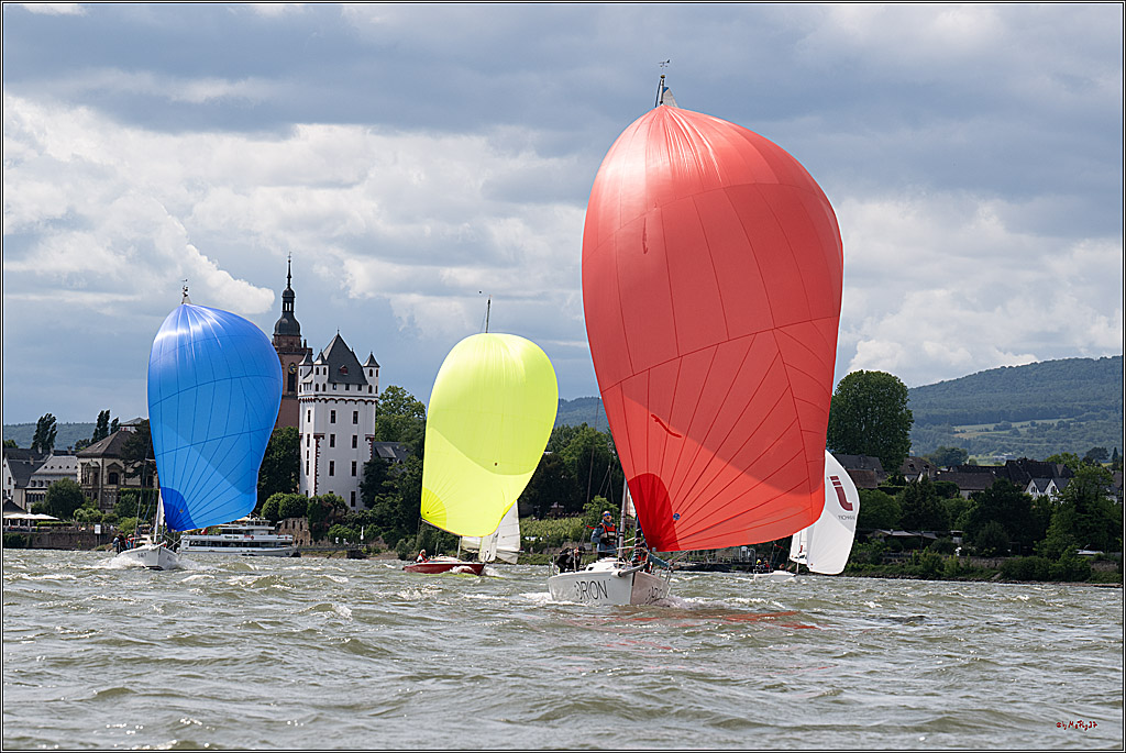 Rheinwoche 2025 1. Regattatag, 08.06.2025