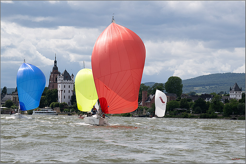 Rheinwoche 2025 1. Regattatag, 08.06.2025