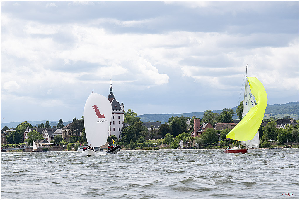 Rheinwoche 2025 1. Regattatag, 08.06.2025