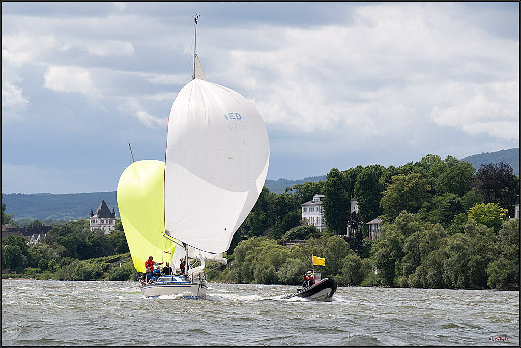 Rheinwoche 2025 1. Regattatag, 08.06.2025