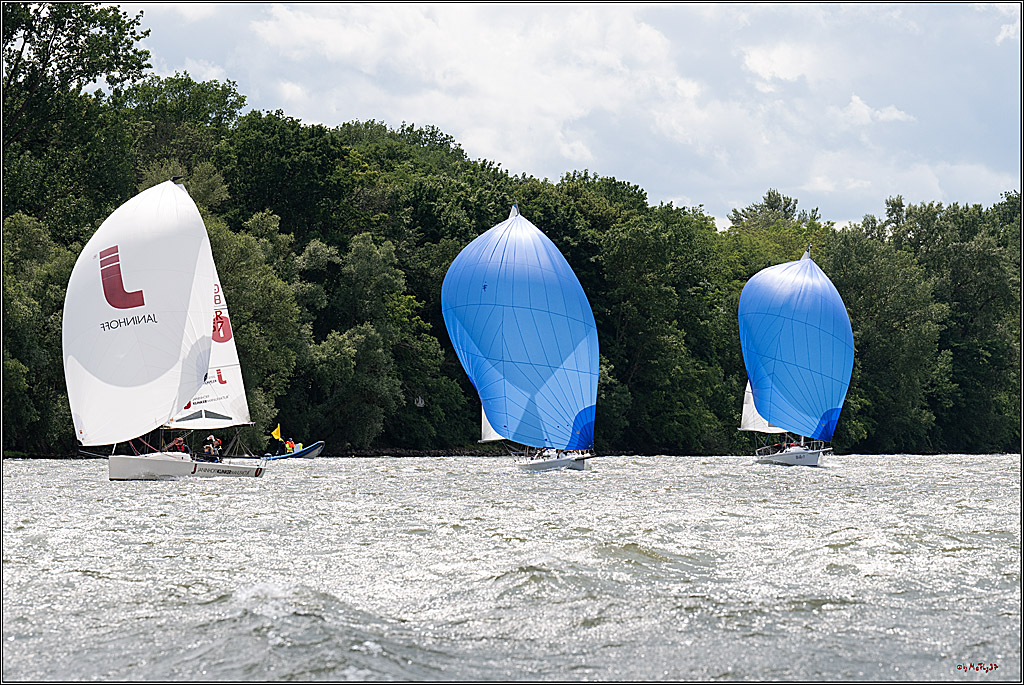 Rheinwoche 2025 1. Regattatag, 08.06.2025