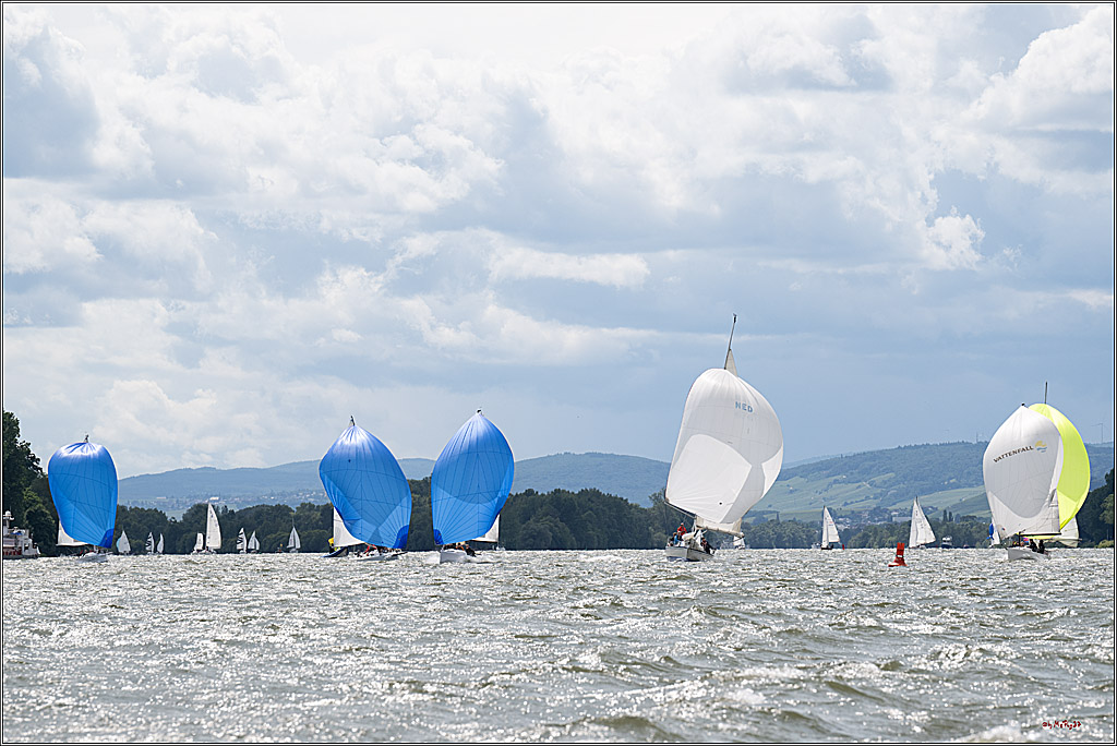 Rheinwoche 2025 1. Regattatag, 08.06.2025