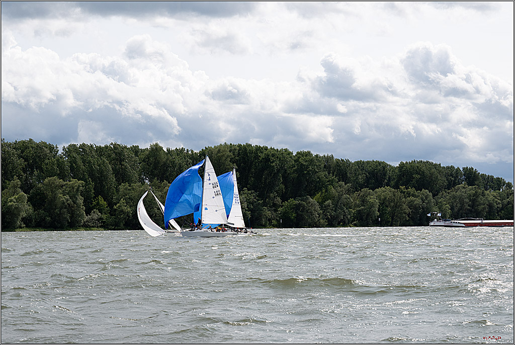 Rheinwoche 2025 1. Regattatag, 08.06.2025