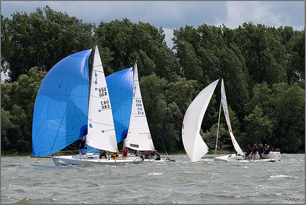 Rheinwoche 2025 1. Regattatag, 08.06.2025