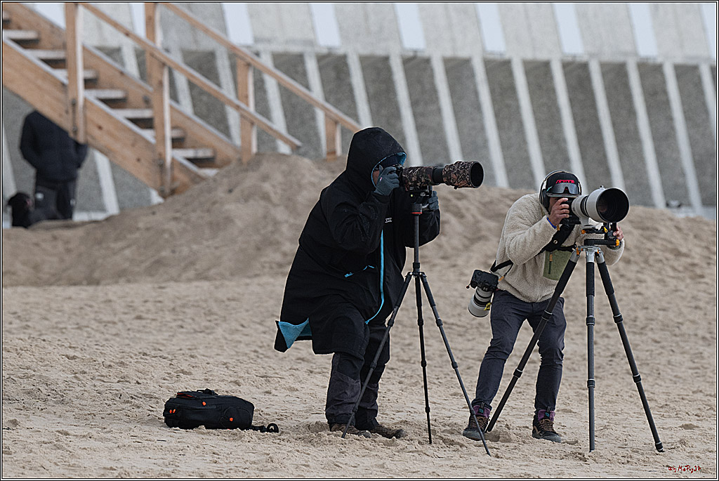PWA 2024 - Wave Man u. Women; Sylt, 28.09.2024