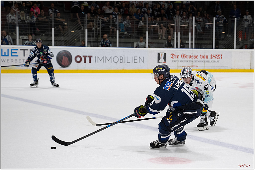 PENNY DEL 1; Testspiel Iserlohn Roosters - Dresdner Eislöwen; Köln, 15.08.2025