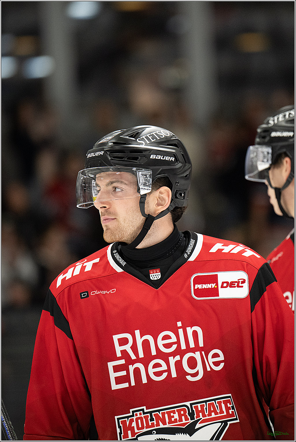 PENNY DEL 1; Testspiel 2 Koelner Haie - Tappara Tampere; Koeln, 16.08.2025