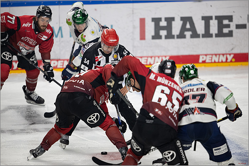 PENNY DEL 1; Kölner Haie - Eisbären Berlin; Köln, 14.09.2025