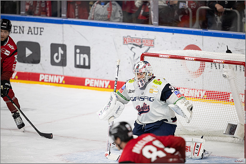PENNY DEL 1; Kölner Haie - Eisbären Berlin; Köln, 14.09.2025