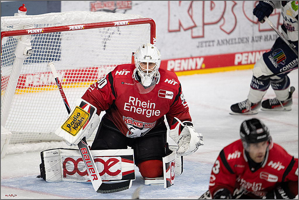 PENNY DEL 1; Kölner Haie - Eisbären Berlin; Köln, 14.09.2025