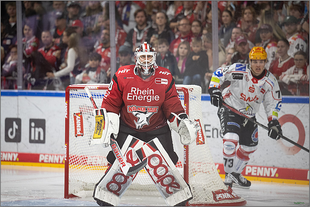 PENNY DEL 1; Koelner Haie - Fischtown Bremerhaven; Koeln, 02.10.2025