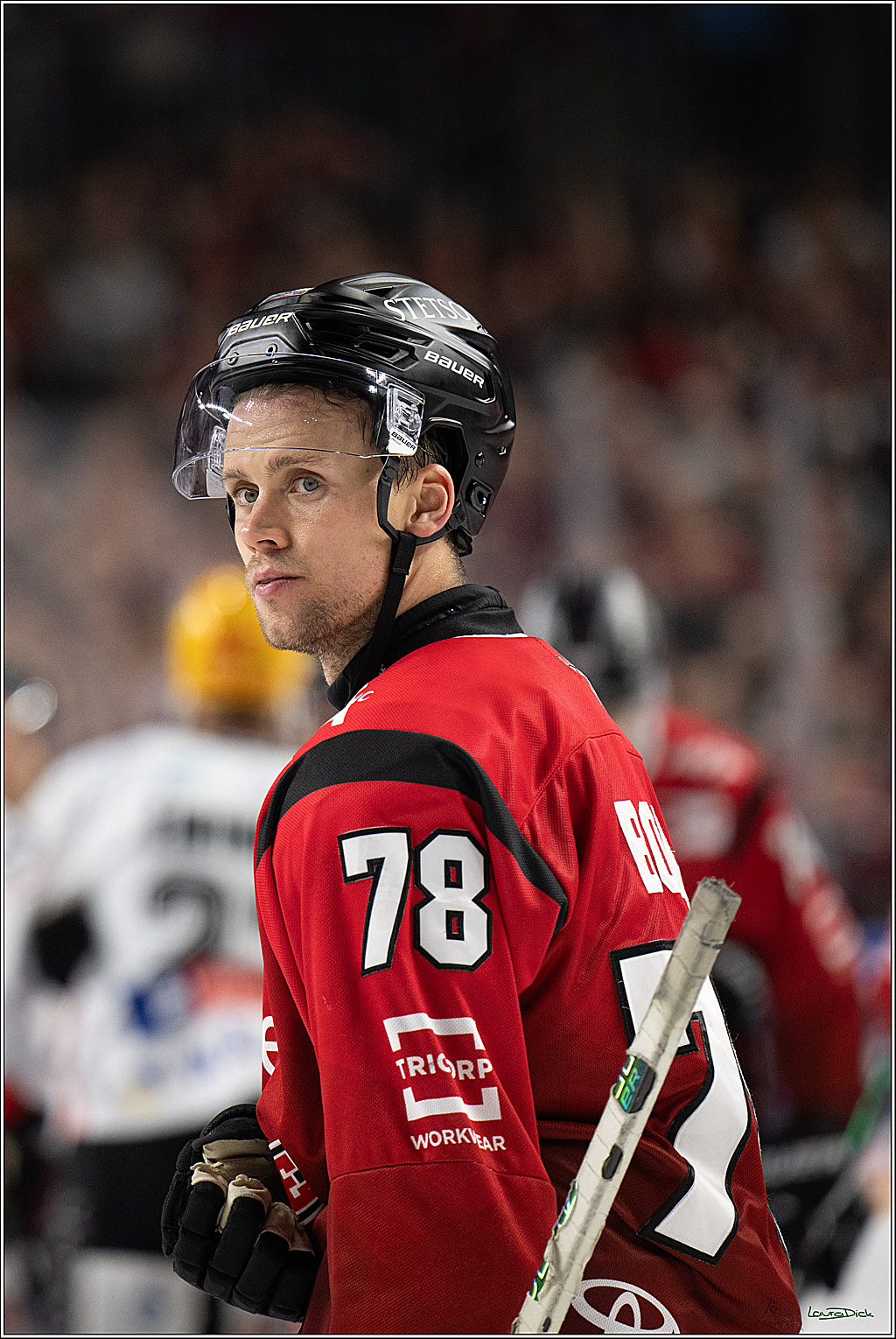 PENNY DEL 1; Koelner Haie - Fischtown Bremerhaven; Koeln, 02.10.2025