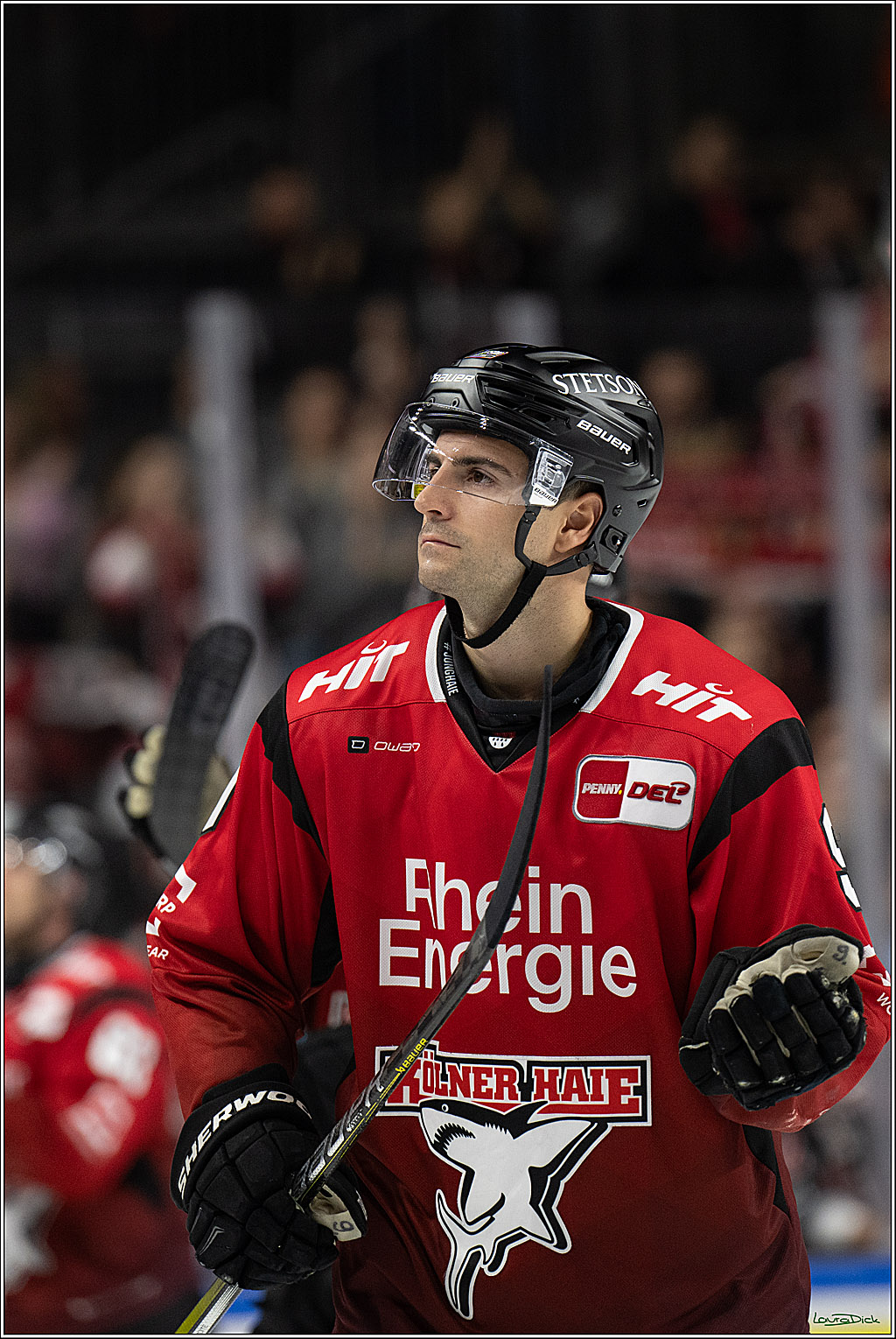 PENNY DEL 1; Koelner Haie - Fischtown Bremerhaven; Koeln, 02.10.2025