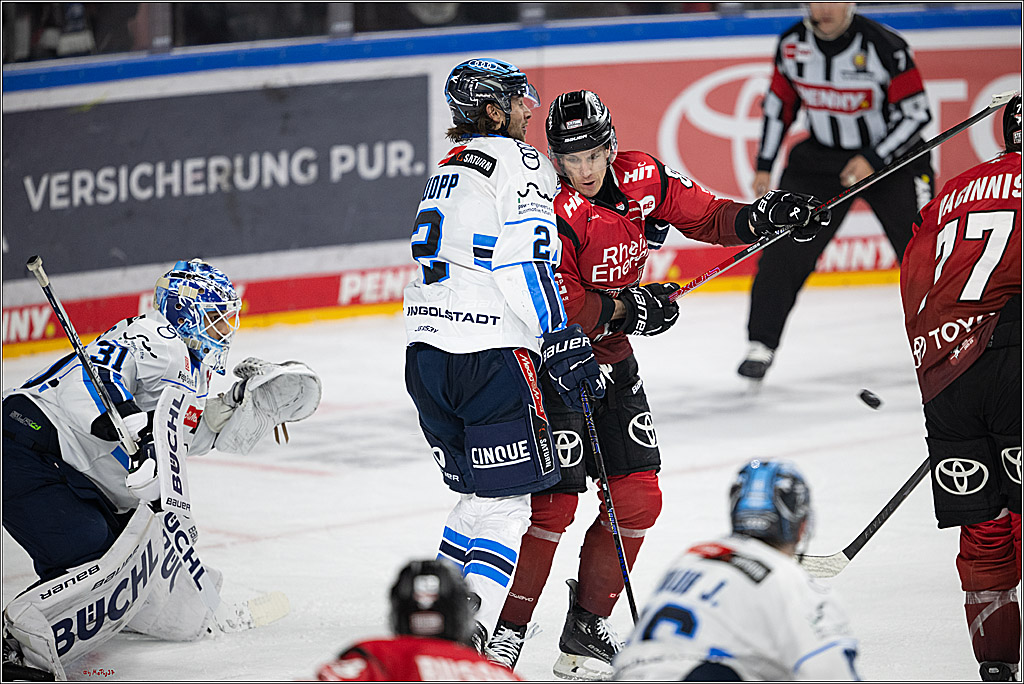 PENNY DEL 1; Kölner Haie - ERC Ingolstadt; Köln, 10.10.2025