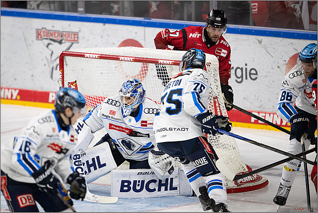 PENNY DEL 1; Kölner Haie - ERC Ingolstadt; Köln, 10.10.2025