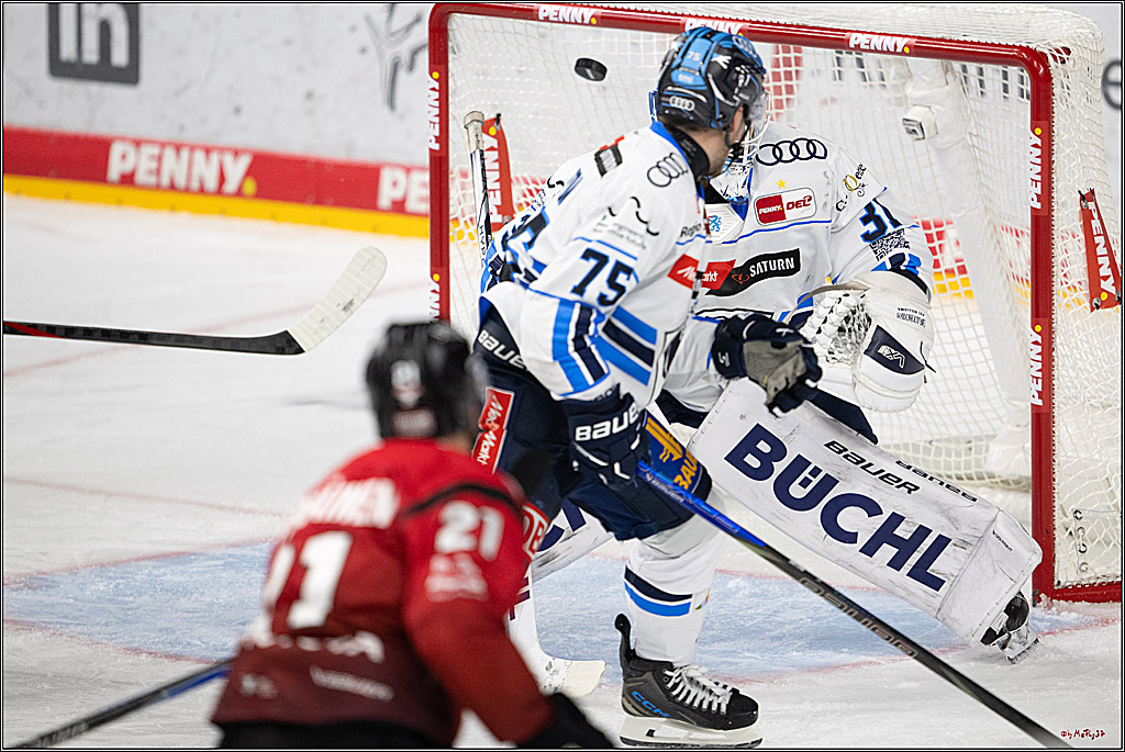 PENNY DEL 1; Kölner Haie - ERC Ingolstadt; Köln, 10.10.2025