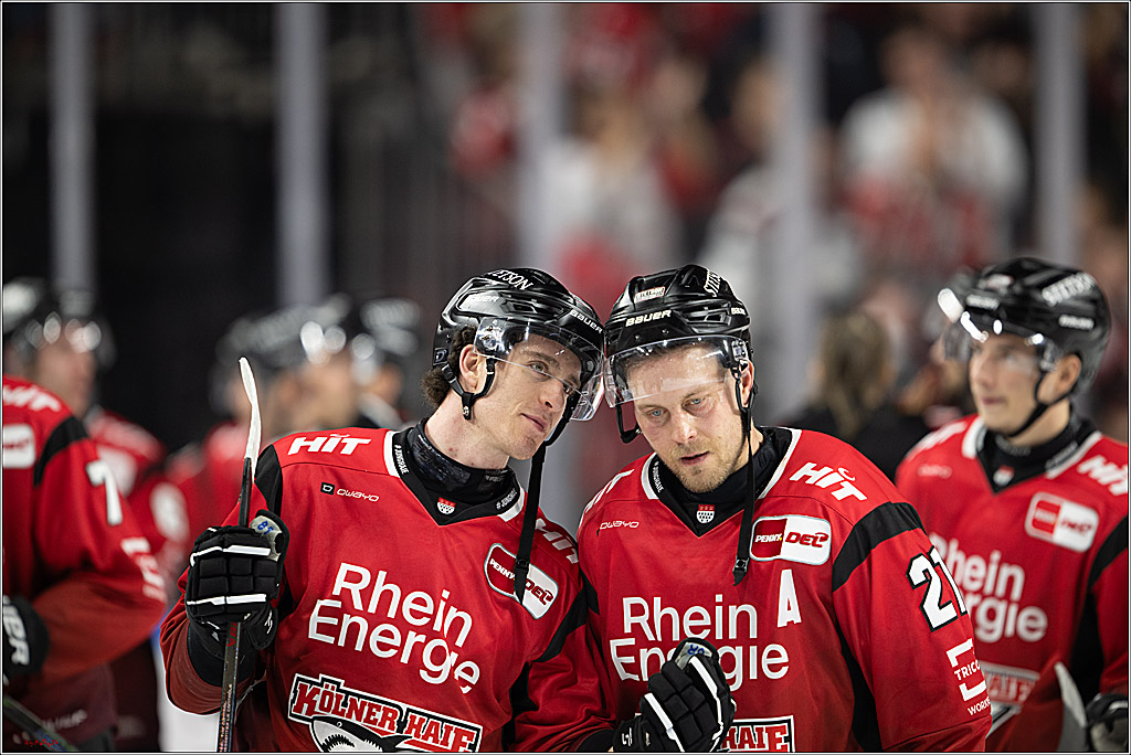 PENNY DEL 1; Kölner Haie - ERC Ingolstadt; Köln, 10.10.2025