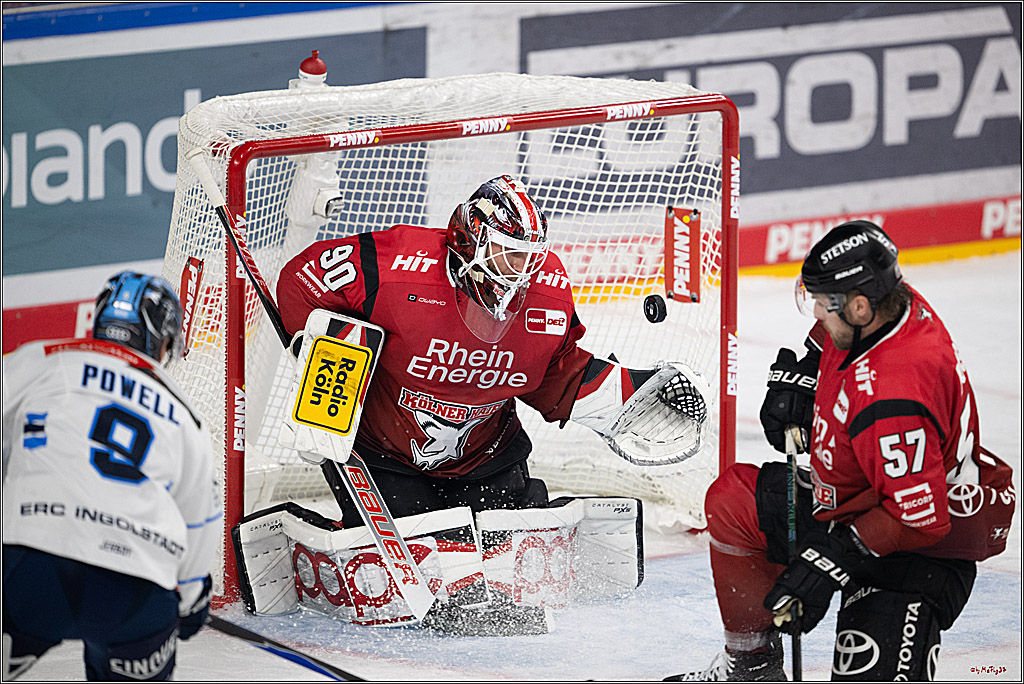 PENNY DEL 1; Kölner Haie - ERC Ingolstadt; Köln, 10.10.2025
