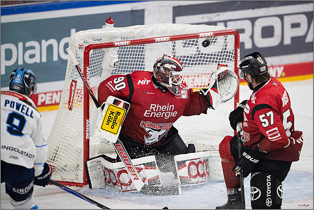 PENNY DEL 1; Kölner Haie - ERC Ingolstadt; Köln, 10.10.2025