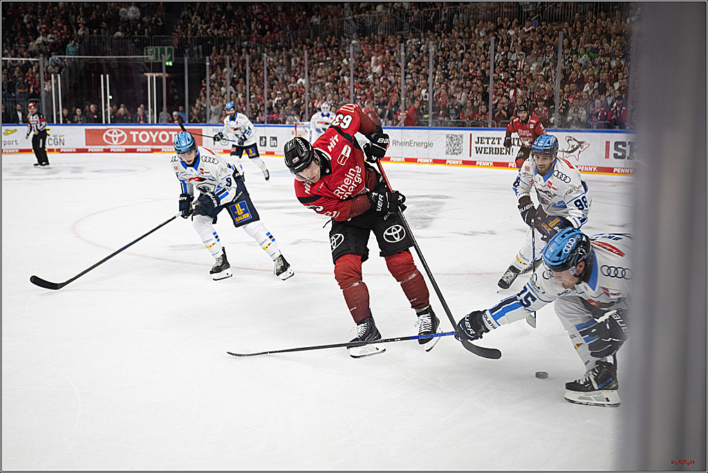 PENNY DEL 1; Kölner Haie - ERC Ingolstadt; Köln, 10.10.2025