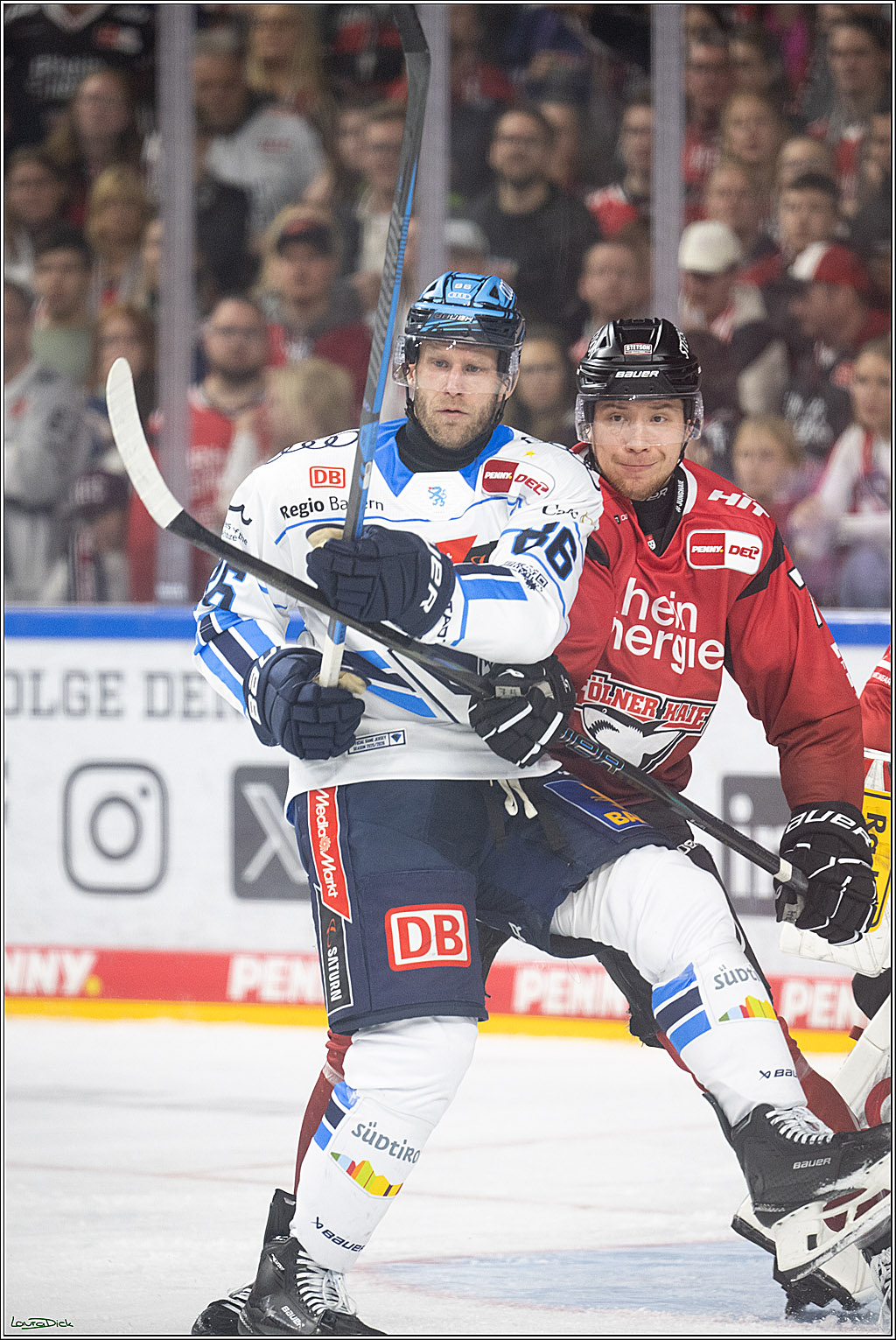PENNY DEL 1; Koelner Haie - ERC Ingolstadt; Koeln, 10.10.2025