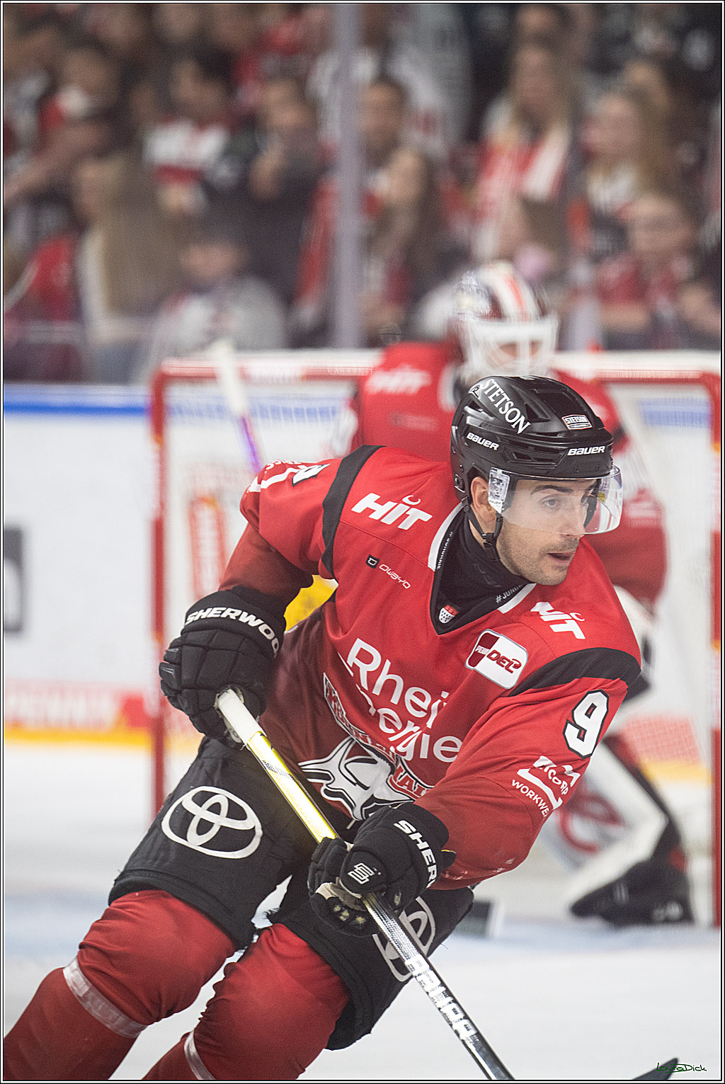 PENNY DEL 1; Koelner Haie - ERC Ingolstadt; Koeln, 10.10.2025
