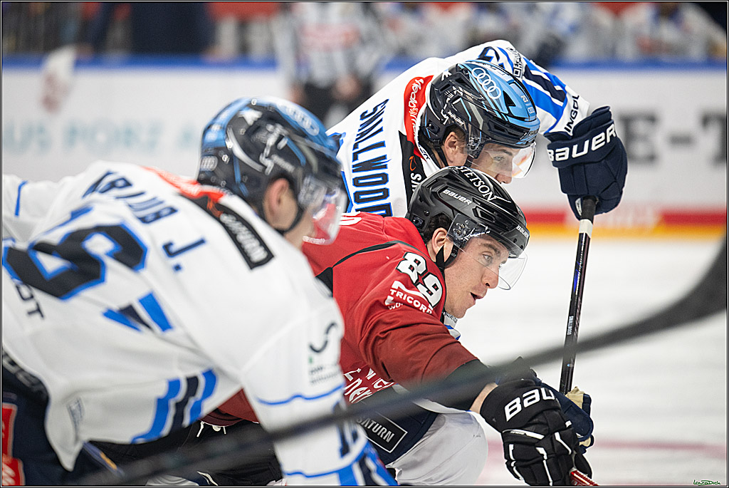 PENNY DEL 1; Koelner Haie - ERC Ingolstadt; Koeln, 10.10.2025