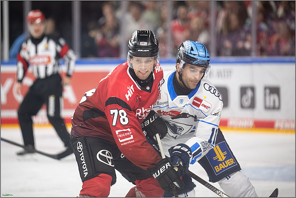 PENNY DEL 1; Koelner Haie - ERC Ingolstadt; Koeln, 10.10.2025