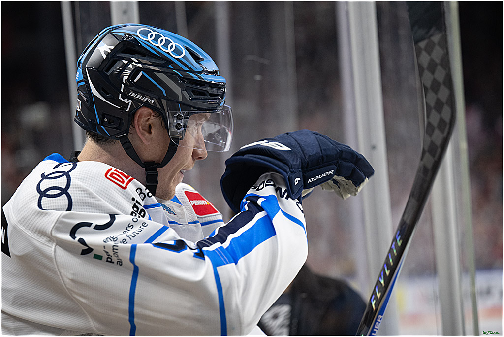 PENNY DEL 1; Koelner Haie - ERC Ingolstadt; Koeln, 10.10.2025