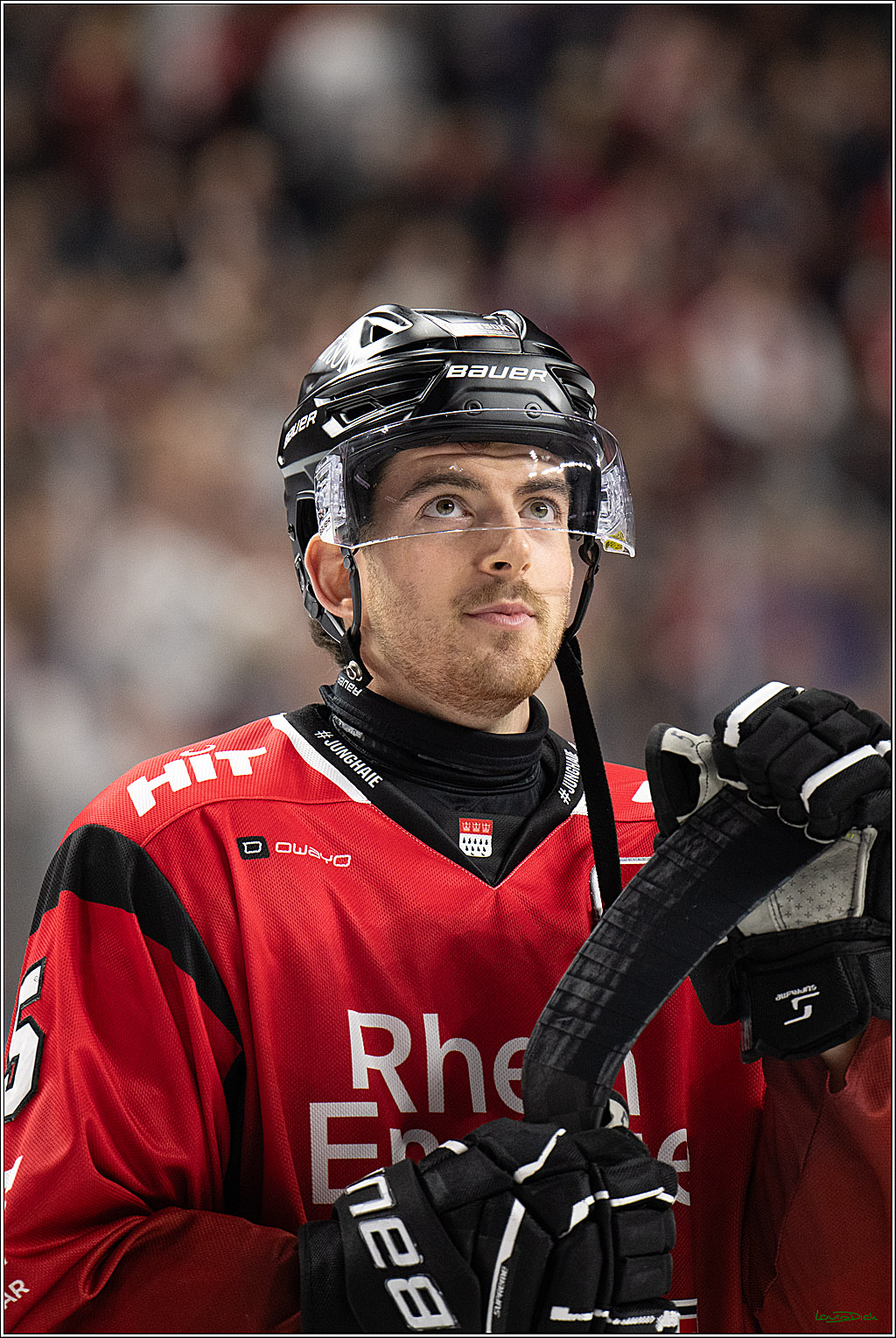 PENNY DEL 1; Koelner Haie - ERC Ingolstadt; Koeln, 10.10.2025