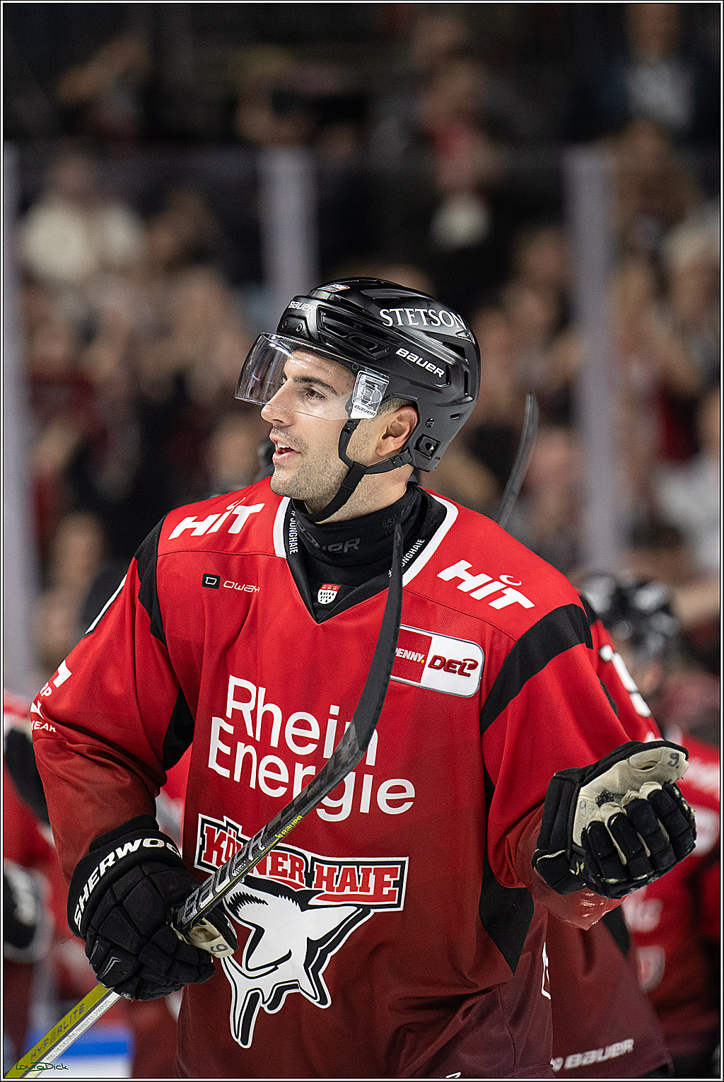 PENNY DEL 1; Koelner Haie - ERC Ingolstadt; Koeln, 10.10.2025