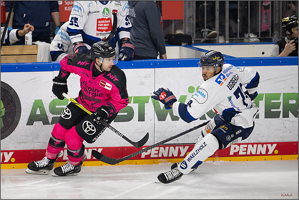 PENNY DEL 1; Kölner Haie - Iserlohn Roosters; Köln, 12.10.2025