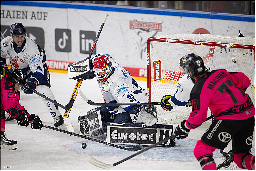 PENNY DEL 1; Kölner Haie - Iserlohn Roosters; Köln, 12.10.2025