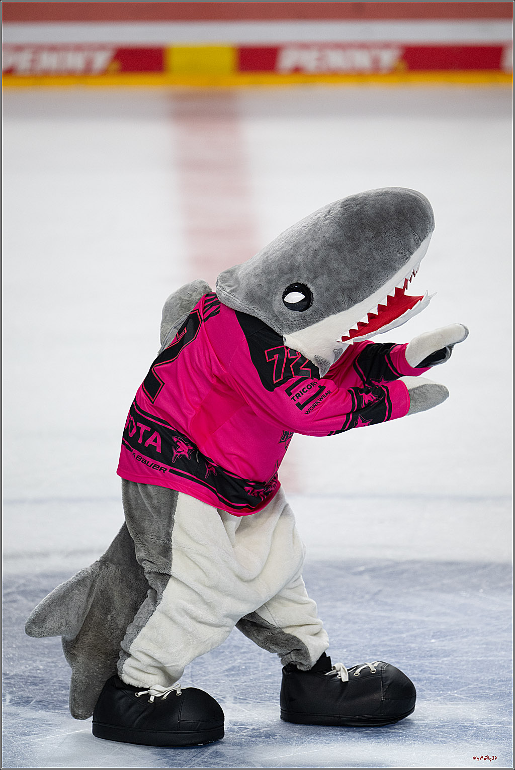 PENNY DEL 1; Kölner Haie - Iserlohn Roosters; Köln, 12.10.2025