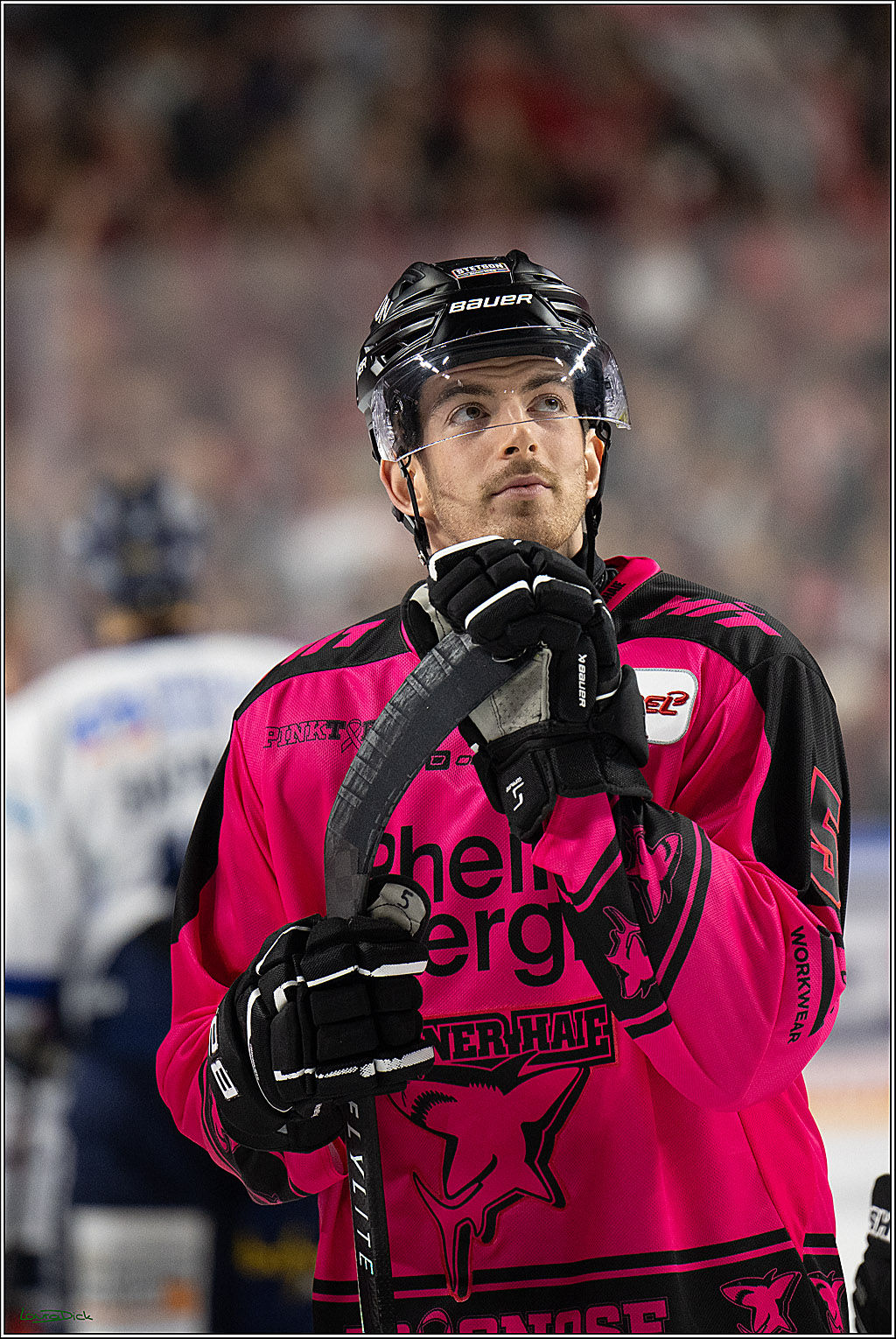 PENNY DEL 1; Koelner Haie - Iserlohn Roosters; Koeln, 12.10.2025