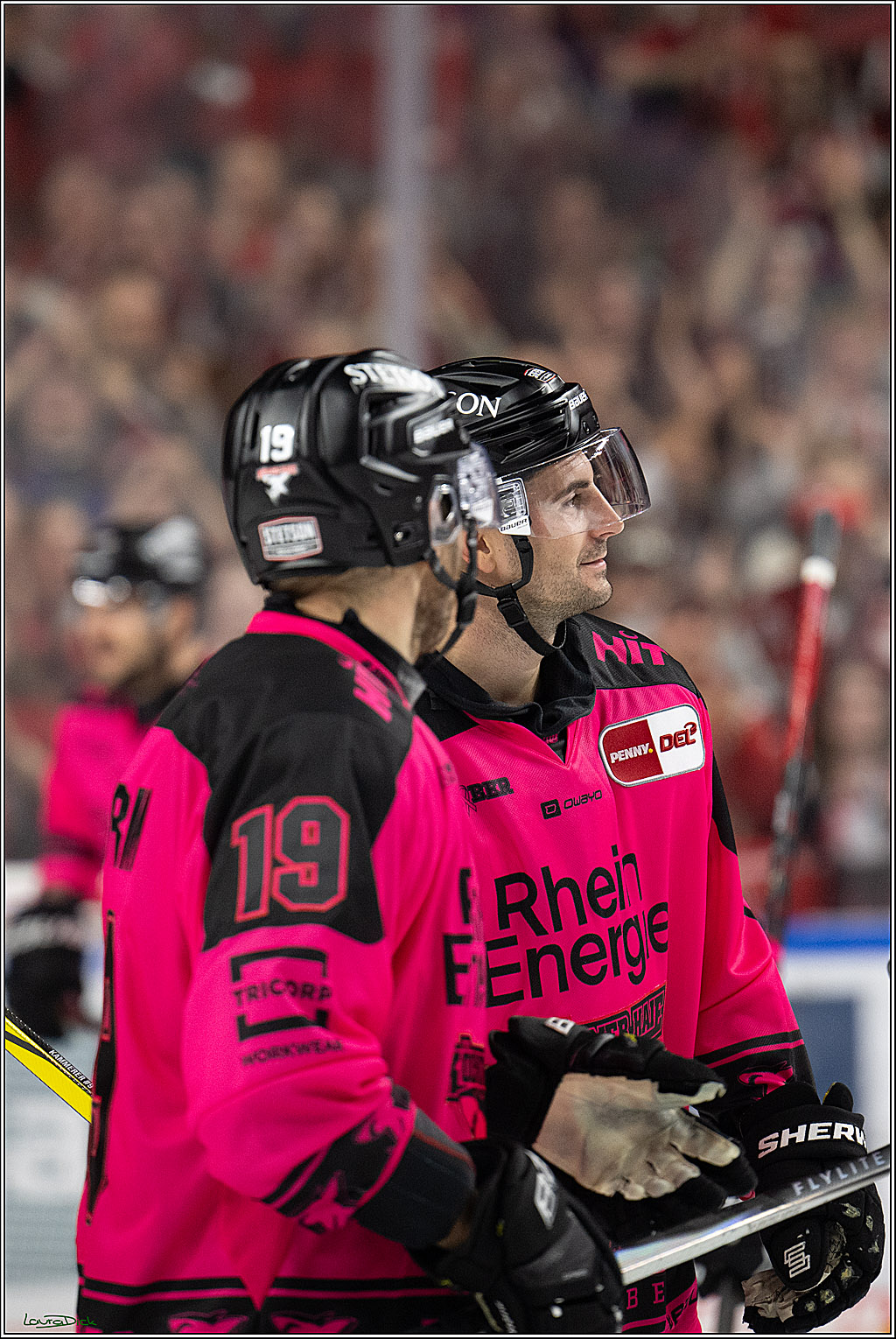 PENNY DEL 1; Koelner Haie - Iserlohn Roosters; Koeln, 12.10.2025