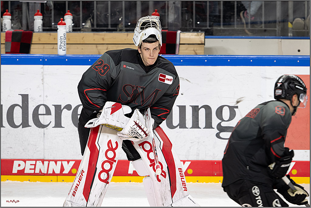 PENNY DEL 1; Kölner Haie - Straubing Tigers; Köln, 19.10.2025