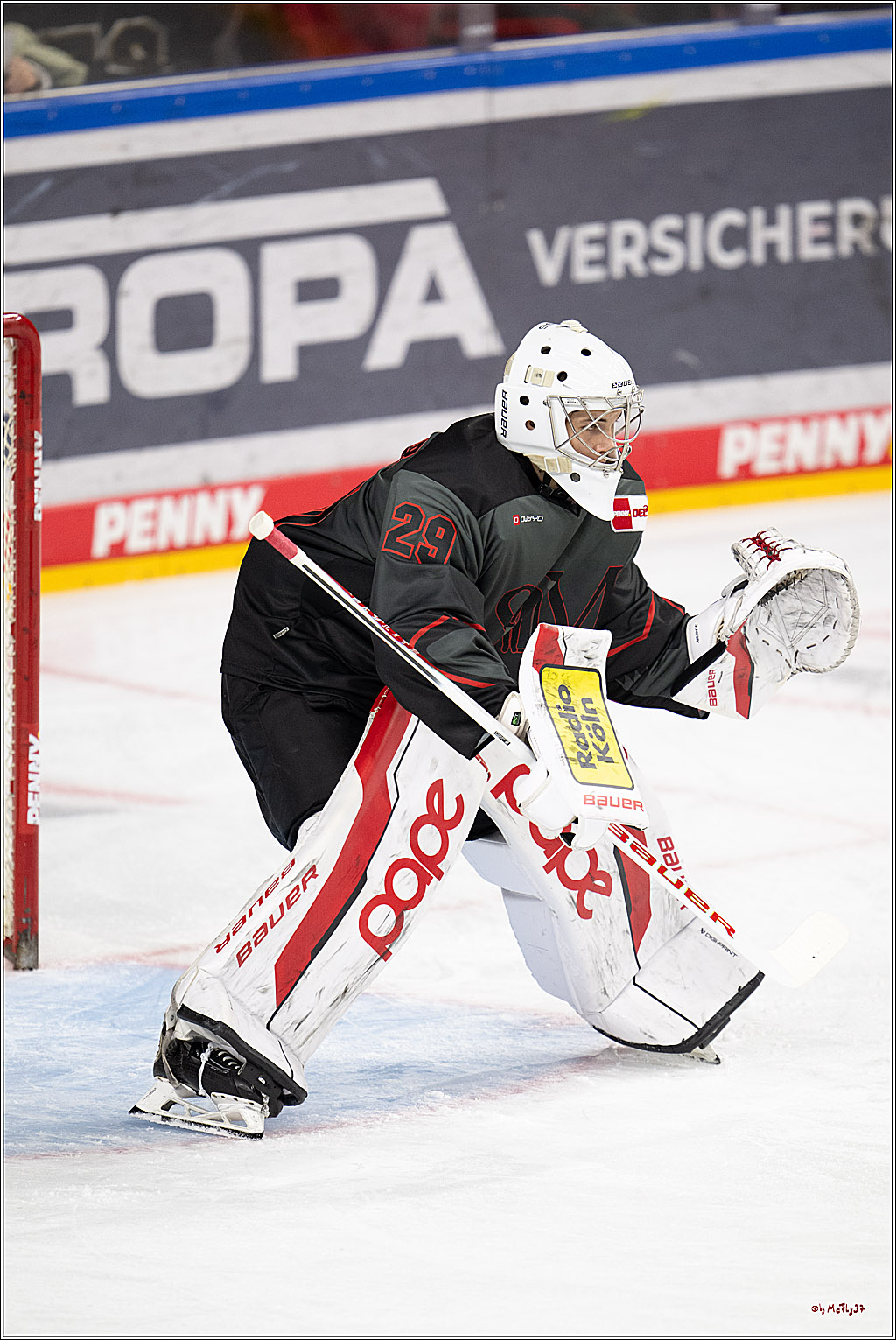 PENNY DEL 1; Kölner Haie - Straubing Tigers; Köln, 19.10.2025
