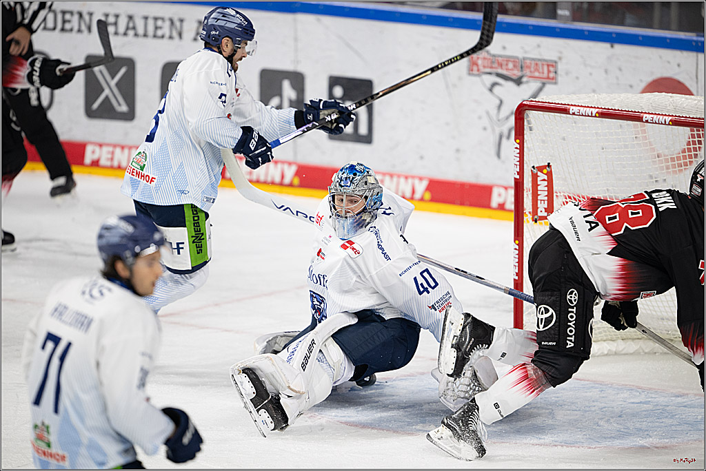 PENNY DEL 1; Kölner Haie - Straubing Tigers; Köln, 19.10.2025